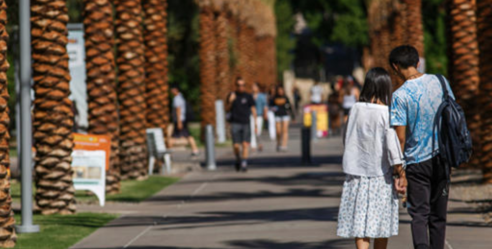A Trip Down Palm Walk