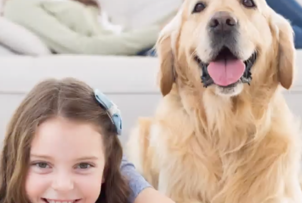 Pet-Proof Your Home